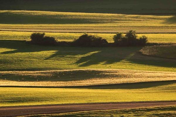 Vaughan Williams 'On Wenlock Edge'