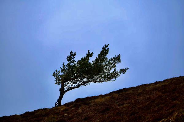 Vaughan Williams - Question 5 and wider listening