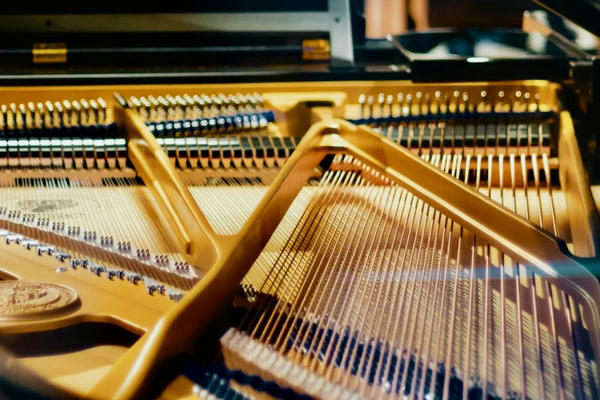 AQA GCSE AOS 1 Revision - The piano music of Chopin and Robert Schumann